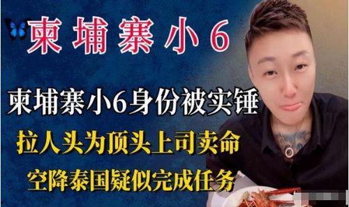 柬埔寨小六爆料视频,揭秘真实生活幕后 第3张 柬埔寨小六爆料视频,揭秘真实生活幕后 第3张